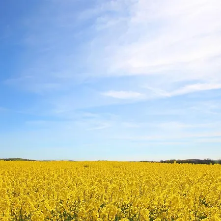 Meeresblick Residenzen Ferienwohnung 35 Mit Sauna- Und Schwimmbadnutzung Im Ahoi Sellin شقة